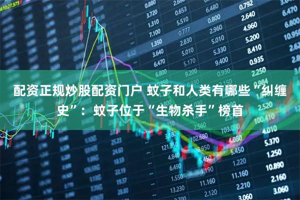 配资正规炒股配资门户 蚊子和人类有哪些“纠缠史”：蚊子位于“生物杀手”榜首