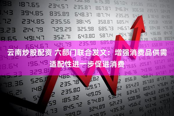 云南炒股配资 六部门联合发文：增强消费品供需适配性进一步促进消费