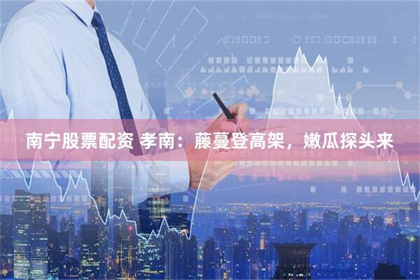 南宁股票配资 孝南：藤蔓登高架，嫩瓜探头来